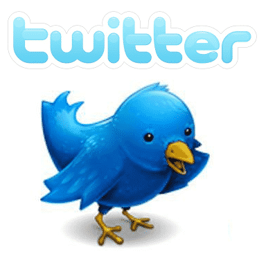 Best option traders to follow on twitter